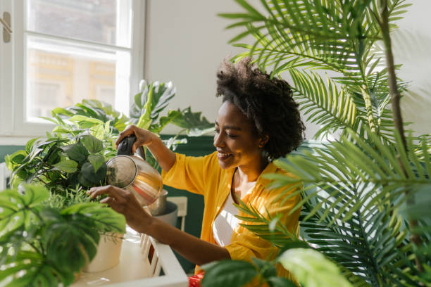 Discover the Benefits of Growing Your Own Plants in an Apartment